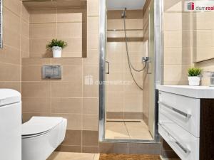 Prodej bytu 1+kk, Ústí nad Labem - Klíše, U Stadiónu, 16 m2