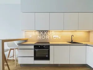 Pronájem bytu 1+kk, Praha - Vinohrady, Dudova, 57 m2