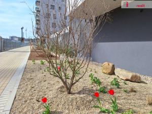 Pronájem garáže, Praha, Pod Harfou, 12 m2