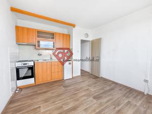 Pronájem bytu 1+kk, Ústí nad Orlicí, Heranova, 20 m2