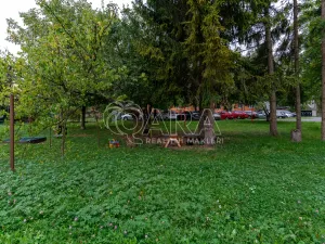 Pronájem bytu 2+1, Olomouc - Nová Ulice, tř. Míru, 50 m2