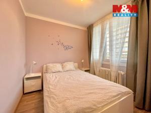 Pronájem bytu 1+1, Teplice, Alejní, 39 m2