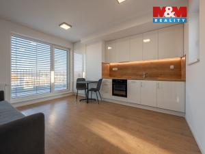 Pronájem bytu 1+kk, Benešov, Dukelská, 35 m2