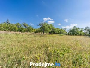 Prodej rodinného domu, Dobšice, 27 m2