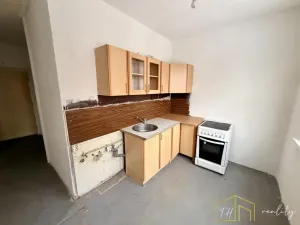 Prodej bytu 2+1, Bílina - Teplické Předměstí, M. Švabinského, 54 m2