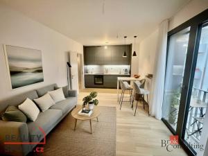 Pronájem bytu 2+kk, Brno - Zábrdovice, Bratislavská, 42 m2