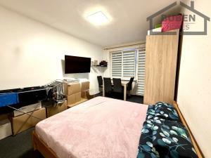 Pronájem bytu 2+1, Planá, Fučíkova, 51 m2