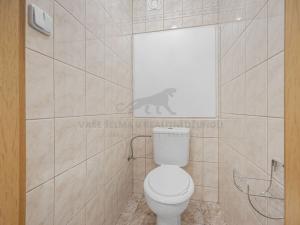 Prodej bytu 3+kk, Praha - Žižkov, Přemyslovská, 76 m2