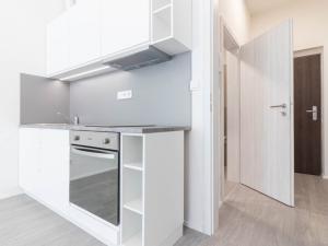 Pronájem bytu 1+kk, Olomouc, Wolkerova, 31 m2