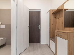 Pronájem bytu 1+kk, Olomouc, Wolkerova, 31 m2