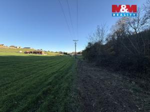 Prodej lesa, Velká Polom, 1901 m2