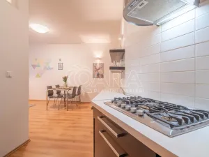 Pronájem bytu 2+kk, Praha, Mánesova, 55 m2