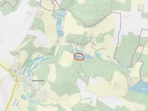 Prodej lesa, Staré Bříště, 1279 m2