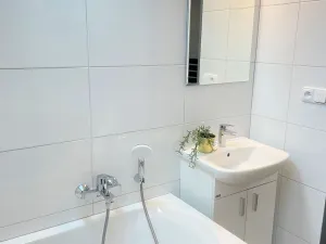 Pronájem bytu 3+kk, Borovany - Trocnov, 70 m2