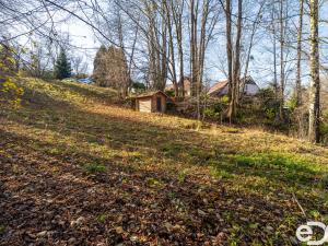 Prodej pozemku pro bydlení, Budislav, 2081 m2