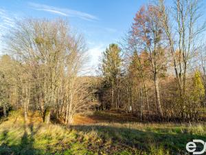 Prodej pozemku pro bydlení, Budislav, 2081 m2