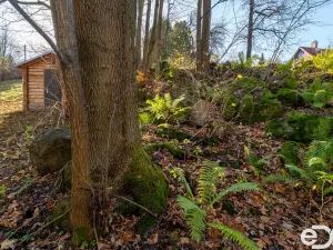 Prodej pozemku pro bydlení, Budislav, 2081 m2