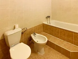 Pronájem bytu 3+kk, Brno, Štefánikova, 74 m2