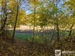 Prodej zahrady, Brno, Jámy, 2116 m2