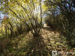 Prodej zahrady, Brno, Jámy, 2116 m2