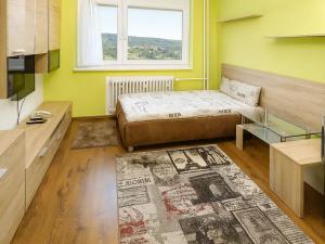 Pronájem bytu 1+kk, Brno, Horácké náměstí, 26 m2