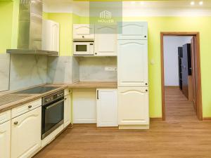 Pronájem bytu 3+kk, Plzeň, Hálkova, 80 m2