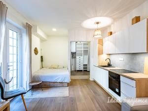 Pronájem bytu 1+kk, Praha - Hlubočepy, Pod Žvahovem, 28 m2