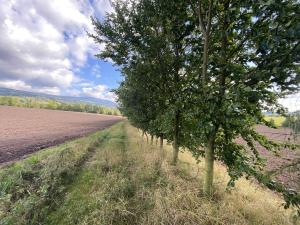 Prodej pozemku, Lánov - Horní Lánov, 4009 m2