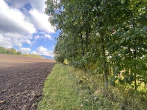 Prodej pozemku, Lánov - Horní Lánov, 4009 m2