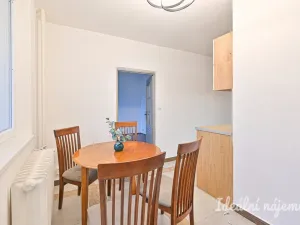 Pronájem bytu 2+1, Břeclav, J. Palacha, 48 m2