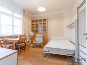 Pronájem bytu 1+1, Praha - Nové Město, Žitná, 26 m2