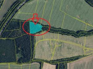 Prodej lesa, Mohelnice, 6148 m2