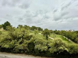 Prodej bytu 2+kk, Praha - Žižkov, Spojovací, 44 m2