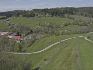 Prodej pole, Pecka, 10031 m2