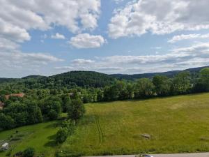 Prodej louky, Vyšší Brod, 22426 m2