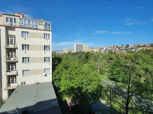 Pronájem bytu 1+1, Praha - Břevnov, Patočkova, 40 m2