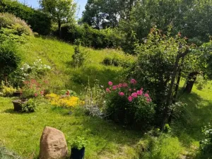 Prodej chalupy, Police nad Metují, 100 m2