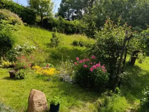 Prodej chalupy, Police nad Metují, 100 m2