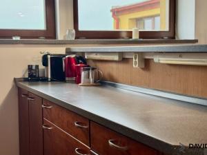 Pronájem bytu 1+kk, Brno - Veveří, Gorkého, 61 m2