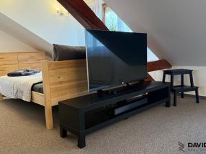 Pronájem bytu 1+kk, Brno - Veveří, Gorkého, 61 m2