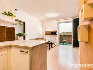 Pronájem bytu 2+kk, Brno - Starý Lískovec, U Leskavy, 49 m2