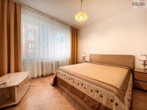 Pronájem bytu 2+1, Teplice, Libušina, 54 m2