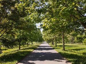 Prodej kanceláře, Hradec Králové, Pospíšilova, 95 m2