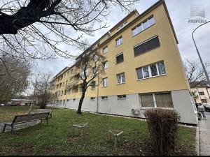 Pronájem bytu 2+kk, Brno, Elišky Krásnohorské, 78 m2
