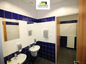 Pronájem výrobních prostor, Vejprnice, Tyršova, 16000 m2