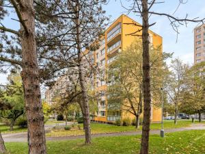 Prodej bytu 4+1, Praha - Chodov, Hněvkovského, 82 m2