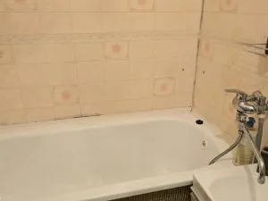 Prodej bytu 1+1, Havířov, Družstevnická, 40 m2