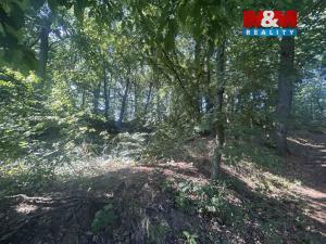 Prodej lesa, Vysoká Pec - Drmaly, 4812 m2