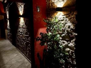 Pronájem obchodního prostoru, Praha - Žižkov, Čajkovského, 200 m2