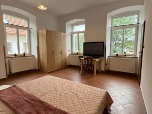 Pronájem atypického bytu, Strmilov - Česká Olešná, 100 m2